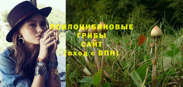 марки nbome Богданович