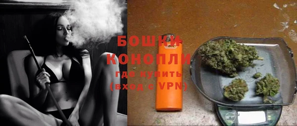 spice Богородск
