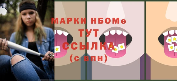 spice Богородск