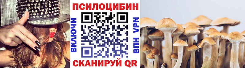 Купить где  Ржев  Галлюциногенные грибы MAGIC MUSHROOMS 